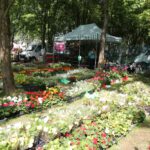 Targi Agro-Targ [DUŻO ZDJĘĆ] Radio Zachód - Lubuskie