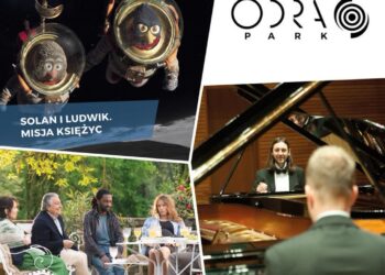 Kino letnie w Nowej Soli