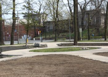 Park Odry w Nowej Soli