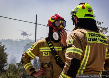 Fot. Państwowa Straż Pożarna/FB. Polscy strażacy gaszą pożary w Grecji