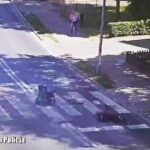 Fot. Lubuska Policja