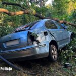 Fot. Lubuska Policja