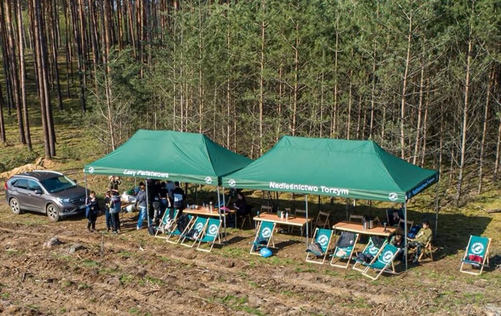 Fot. Przemysław Mielczarek, Nadleśnictwo Torzym