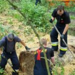 Fot. Urząd Miasta Zielona Góra