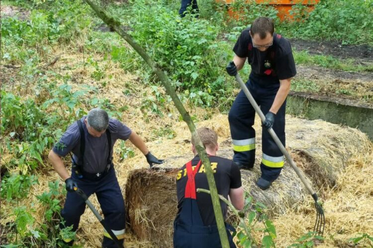 Fot. Urząd Miasta Zielona Góra