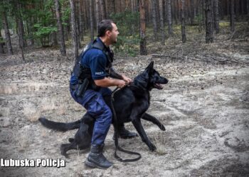 Najlepsze psy policyjne w Lubuskiem jadą na finał Kynologicznych Mistrzostw Polski Policji Radio Zachód - Lubuskie