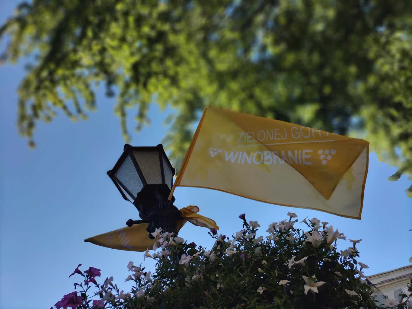 Winobranie 2023: Informacja Turystyczna gotowa Radio Zachód - Lubuskie