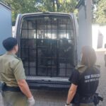 Kolejne zatrzymanie nielegalnych migrantów. Policja po pościgu złapała 19 Syryjczyków Radio Zachód - Lubuskie