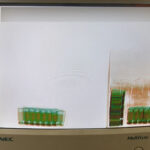 Fot. Izba Administracji Skarbowej w Zielonej Górze