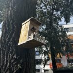 Caritas podsumowuje projekt „Razem" Radio Zachód - Lubuskie