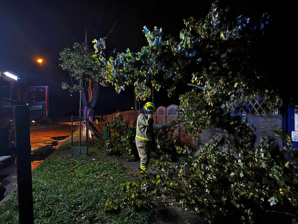 Strażacy przyjęli około 160 zgłoszeń związanych z silnym wiatrem Radio Zachód - Lubuskie