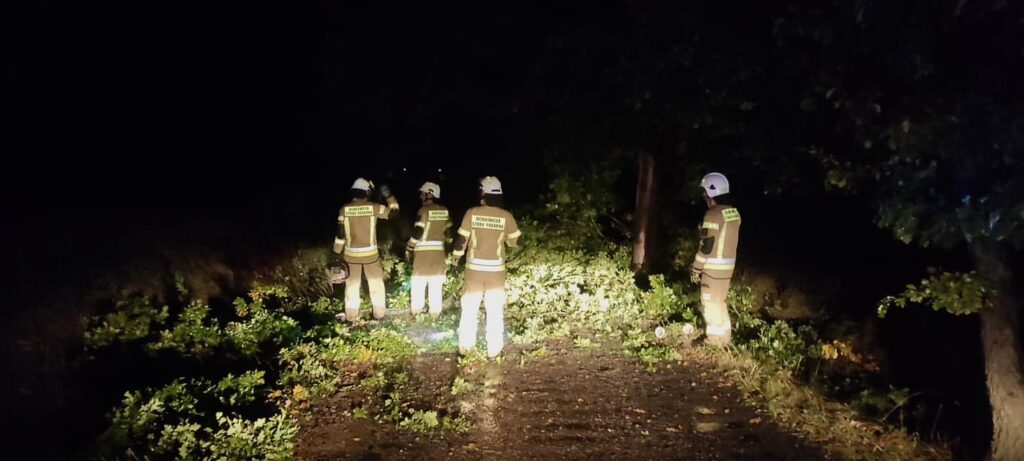 Strażacy przyjęli około 160 zgłoszeń związanych z silnym wiatrem Radio Zachód - Lubuskie