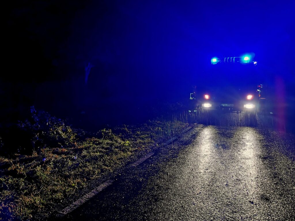 Strażacy przyjęli około 160 zgłoszeń związanych z silnym wiatrem Radio Zachód - Lubuskie