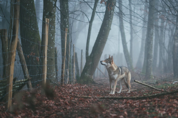 Fot. Freepik. Zdjęcie poglądowe