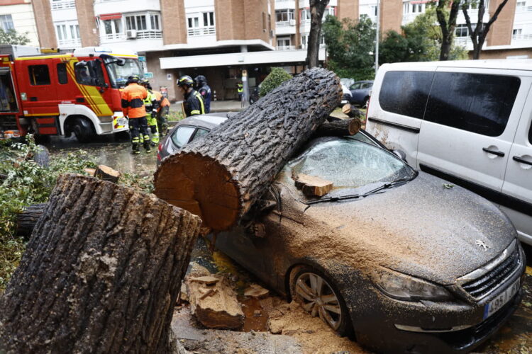 Widok samochodu zmiażdżonego przez kłodę w wyniku silnego wiatru wywołanego przez burzę „Ciaran” w Madrycie, środkowa Hiszpania, 2 listopada 2023 r. Fot. PAP/EPA/RODRIGO JIMENEZ