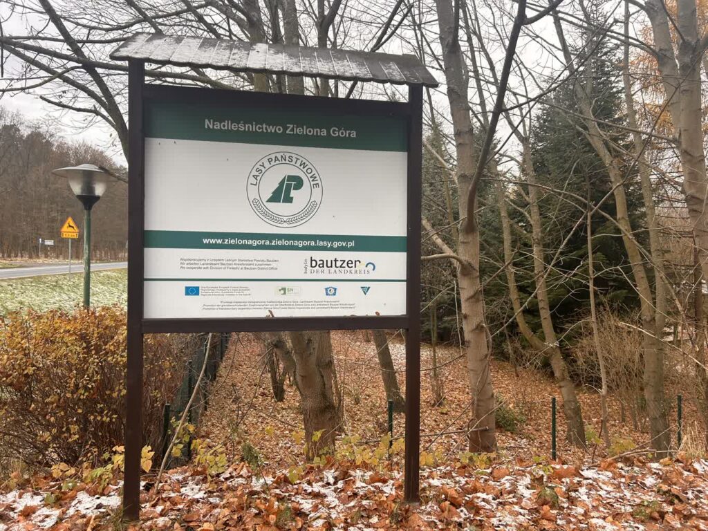 Lubuskie lasy w okresie zimowym Foto: Agata Duszyńska