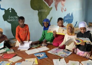 Nowosolanka pomaga w odbudowie polskiej placówki edukacyjnej w Tanzanii Radio Zachód - Lubuskie