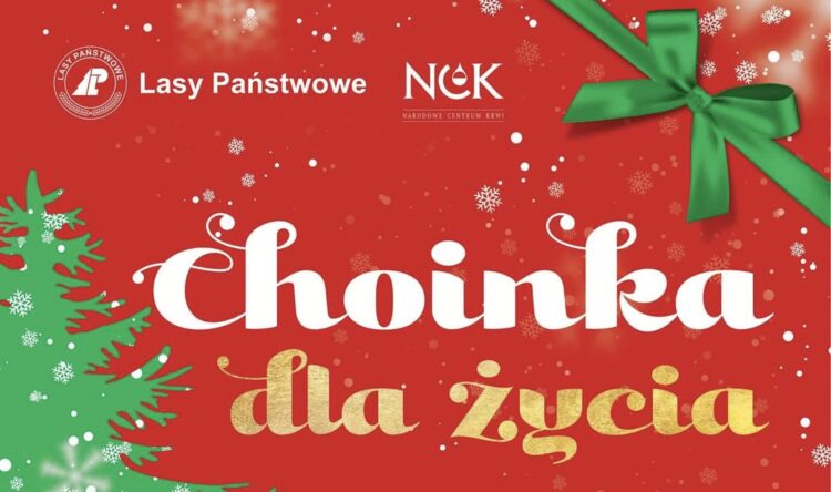 Akcja ,,Choinka dla życia”. Oddaj krew, odbierz drzewko 9 Foto: Regionalna Dyrekcja Lasów Państwowych w Zielonej Górze