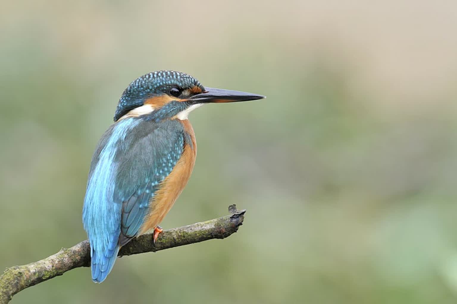 Mariusz Kudlak, Nadleśnictwo Bytnica; Grzegorz Patek, Nadleśnictwo Krzystkowice 10 b337030f-38b1-4ad1-9afd-a4aa43e7fc8e.jpg