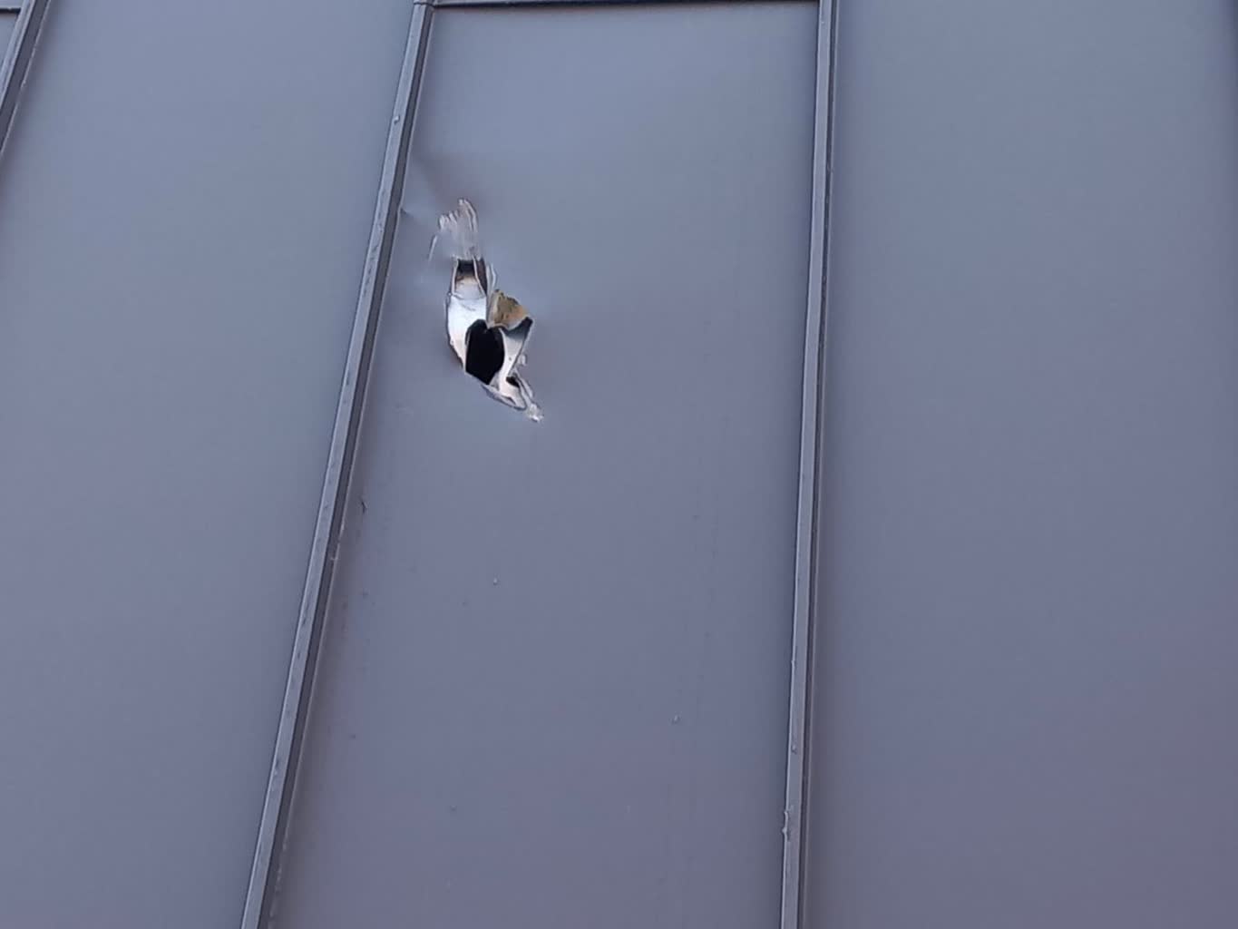 Drzewo uszkodziło elewację nowej hali Radio Zachód - Lubuskie