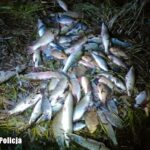 Fot. Lubuska Policja