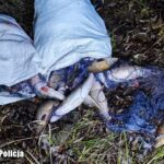 Fot. Lubuska Policja