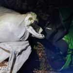 Fot. Lubuska Policja