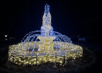 Iluminacje w parku w Zatoniu do końca marca. W weekendy dodatkowy autobus MZK Radio Zachód - Lubuskie