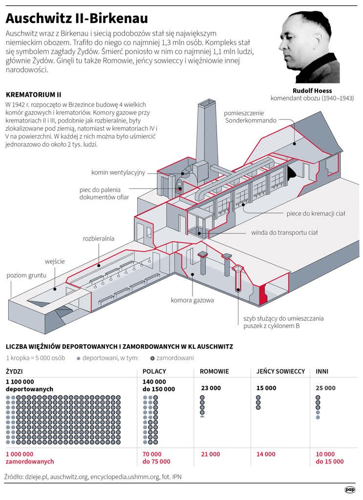 79 lat temu Armia Czerwona otworzyła bramy obozu Auschwitz 11 igrafika_20230614_06.png