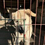 Foto: Agata Duszyńska