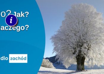 Co, jak i dlaczego 01.02.2024 Radio Zachód - Lubuskie