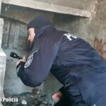 Fot. Lubuska Policja