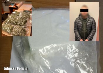 Pościg, zatrzymanie, 30 kg narkotyków – brawurowa akcja Lubuskiej Policji Radio Zachód - Lubuskie
