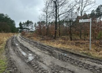 Droga w Płotach: mieszkańcy chcą remontu, władze gminy potrzebują czasu Radio Zachód - Lubuskie