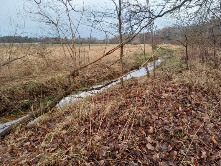 Odpowiedź władz Nowej Soli na protest mieszkańców Starego Żabna 9 rowy melioracyjne