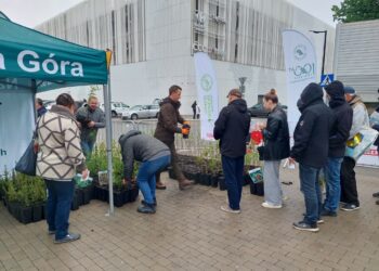 Oddaj elektrośmieci i odbierz sadzonkę krzewów w ramach akcji „Drzewko za surowce wtórne” Radio Zachód - Lubuskie