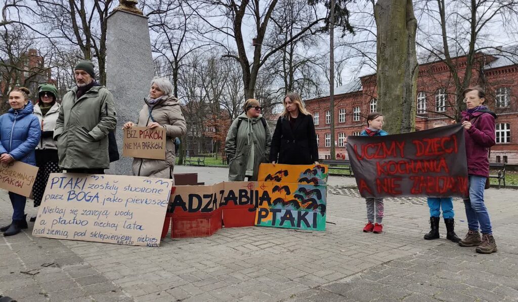 RDOŚ zawiadamia policję ws. świebodzińskich gawronów Radio Zachód - Lubuskie