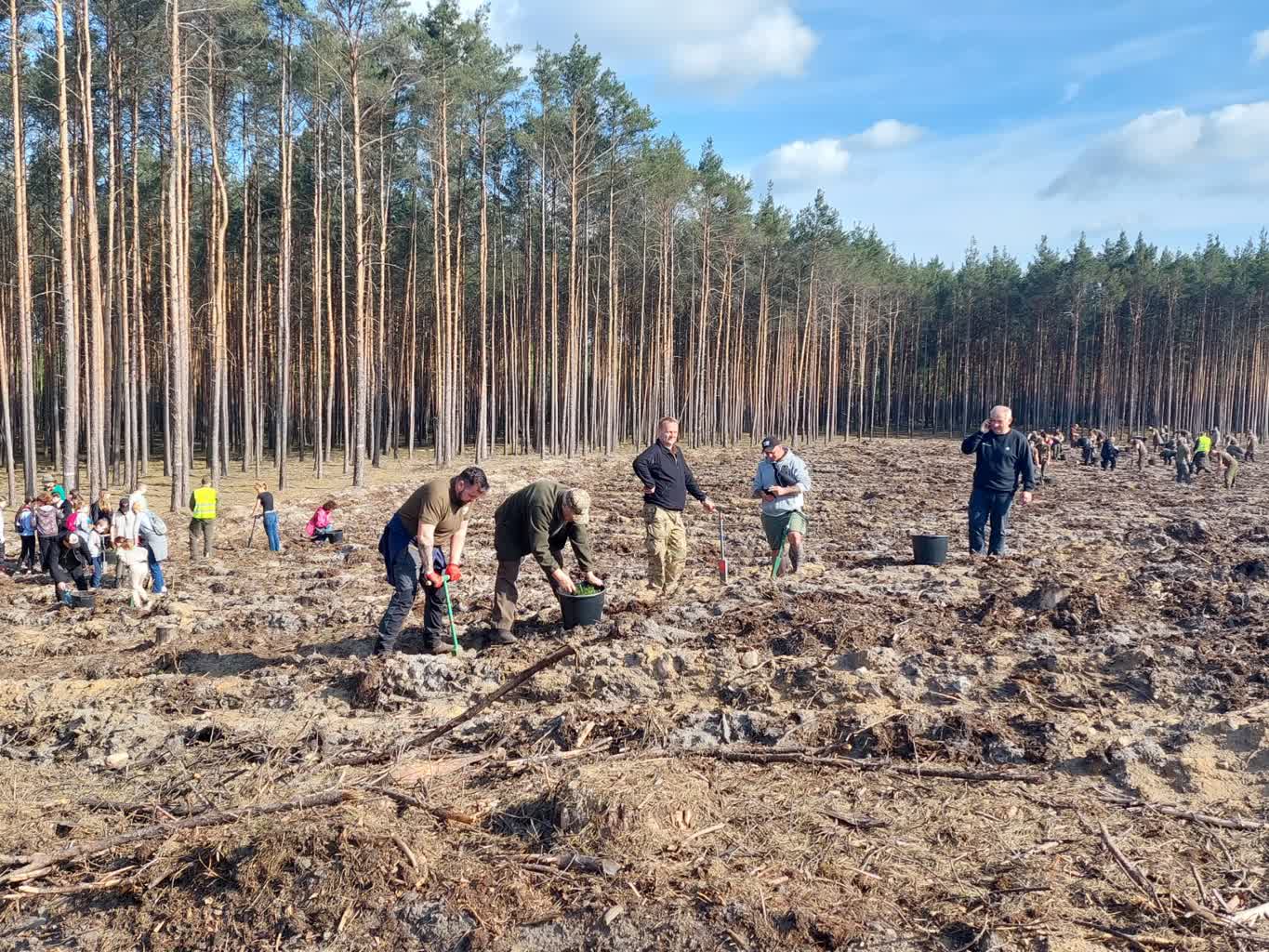 Mieszkańcy sadzą las przy ul. Słubickiej [ZDJĘCIA] Radio Zachód - Lubuskie