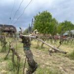 Foto: Agata Duszyńska