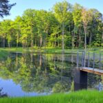 Foto: Nadleśnictwo Zielona Góra