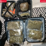 Fot. Izba Administracji Skarbowej w Zielonej Górze