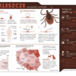 Fot. Lasy Państwowe/FB