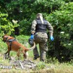 Policjanci rozbili grupę przestępczą handlującą narkotykami Radio Zachód - Lubuskie