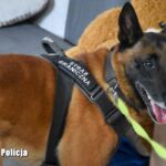 Policjanci rozbili grupę przestępczą handlującą narkotykami Radio Zachód - Lubuskie