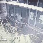 Fot. Lubuska Policja