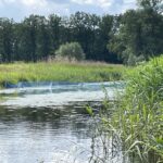 fot. Bartosz Schaefer