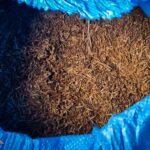 Fot. cbsp.policja.pl/