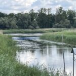 fot. Bartosz Schaefer