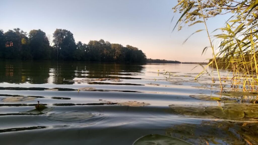 Sąd Najwyższy oddalił kasacje w sprawie tzw. kanibali znad jeziora Osiek Radio Zachód - Lubuskie
