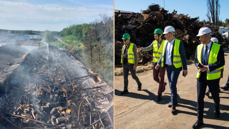 Fot. Kolaż zdjęć Urząd Miasta Zielona Góra/FB